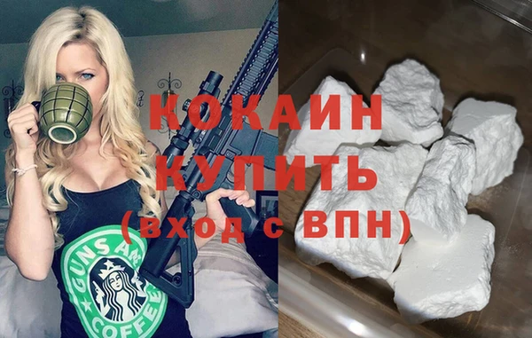 индика Елабуга