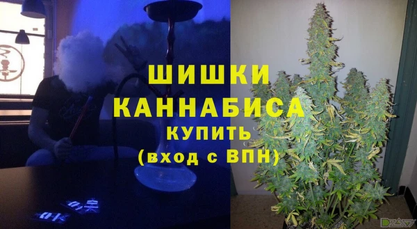 spice Медвежьегорск