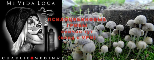 сатива Мегион