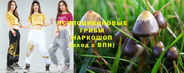хмурый Медногорск